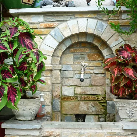 Katerina شقة Agios Ioannis (Thessaly)